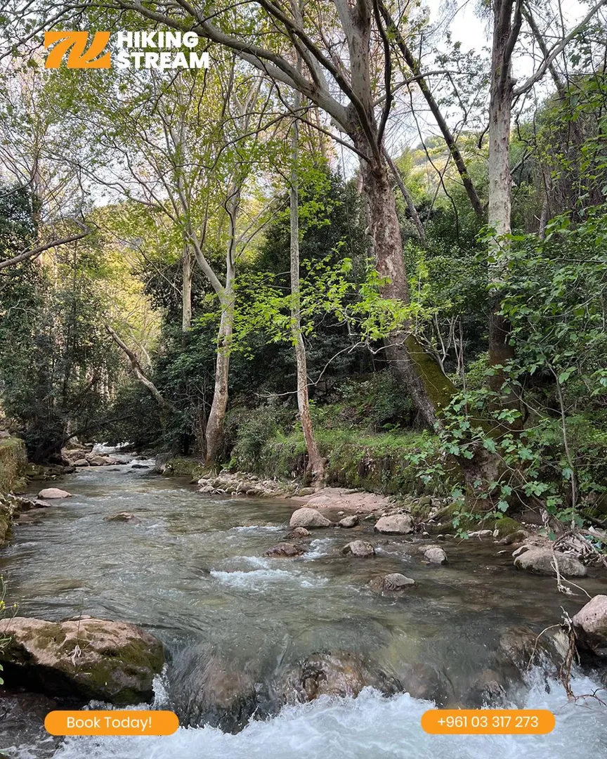 HIKING TO KFARHELDA photo 1