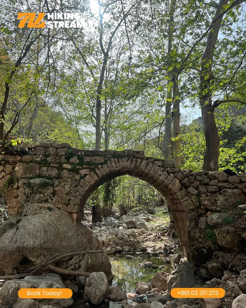HIKING TO KFARHELDA photo 3