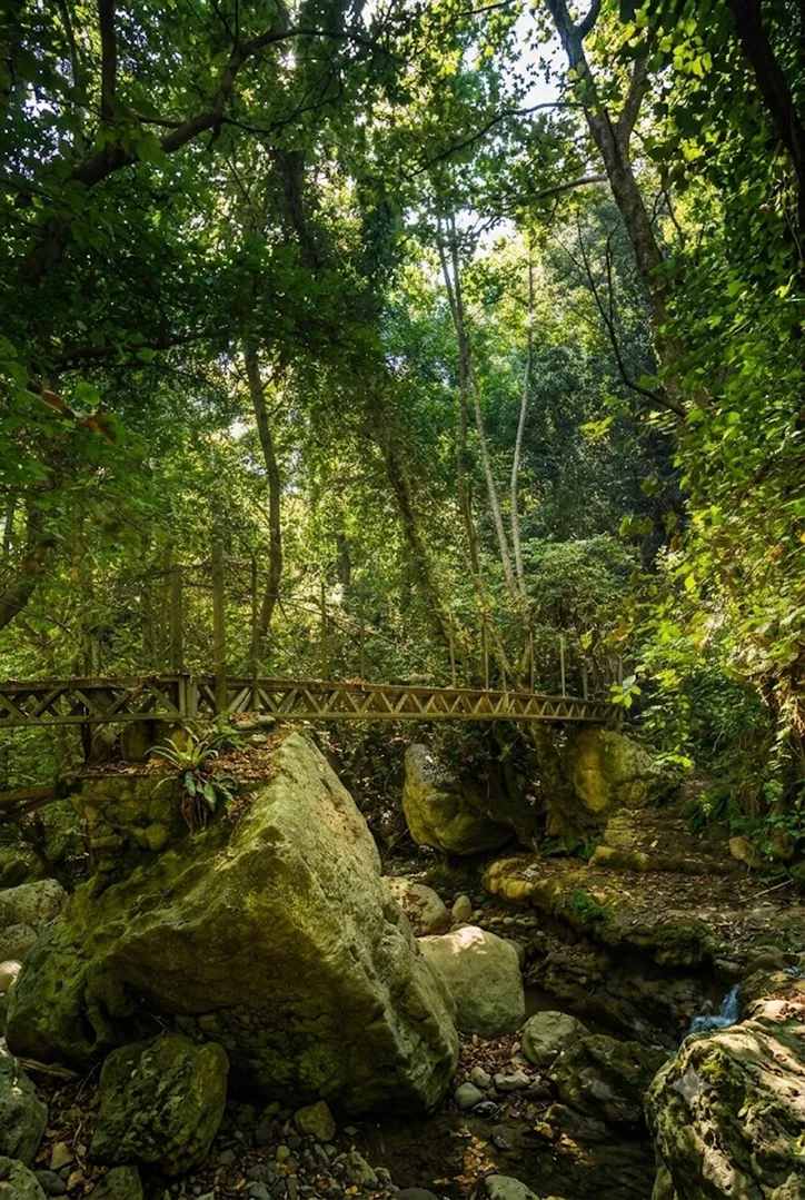 Rechmaya River - RIVER HIKING ADVENTURE photo 1