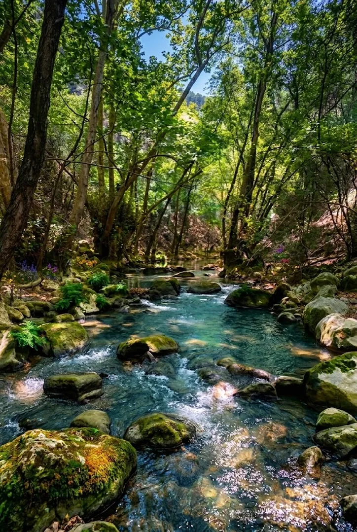 Rechmaya River - RIVER HIKING ADVENTURE photo 4