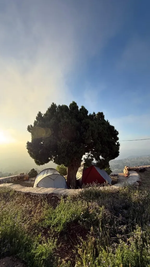 Camping and hiking al Jerd Al Aali Akkar photo 4
